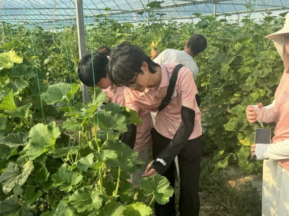 从红色沃土到振兴田野 Beat365唯一官方网站学子开展暑期社会实践_fororder_图片7